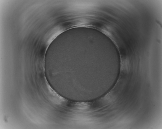 X0000100881338200806201237