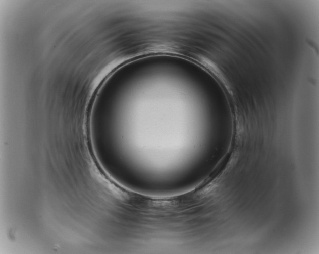 X0000100881339200806201237
