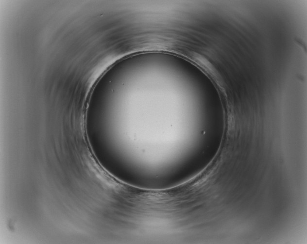X0000100881340200806201237