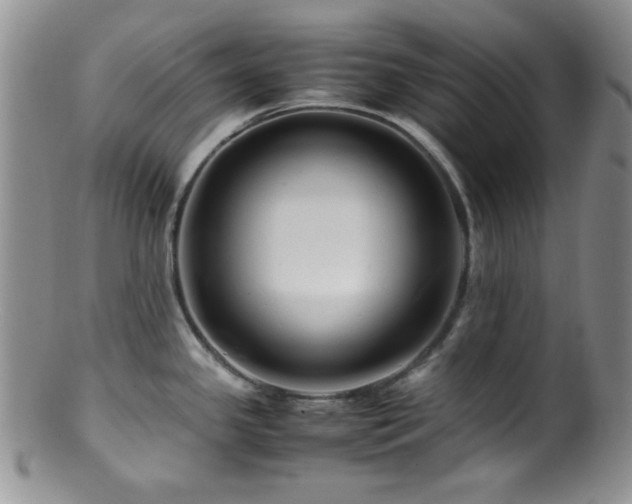 X0000100881341200806201237