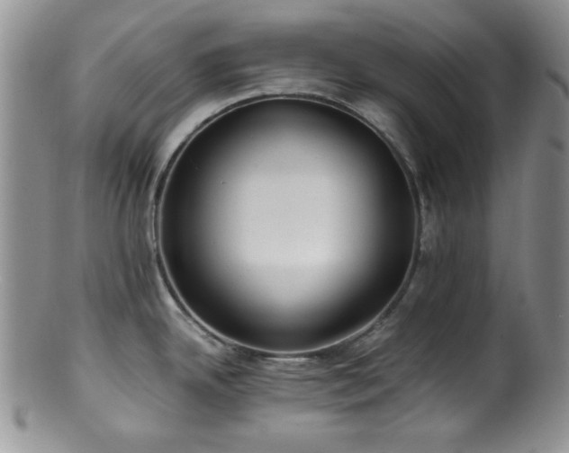 X0000100881342200806201237