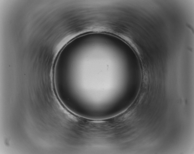 X0000100881343200806201237