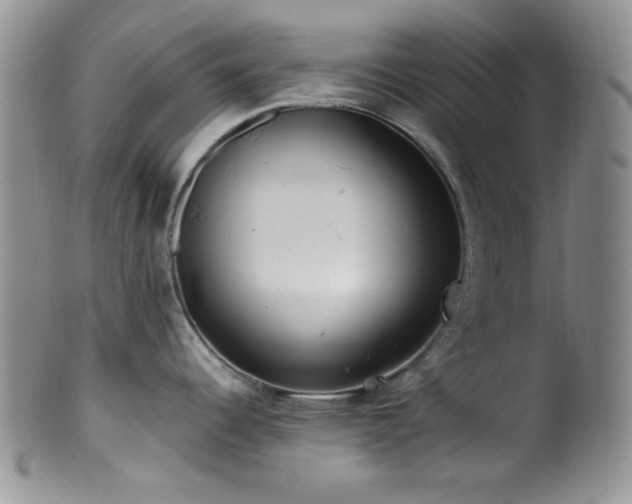 X0000100881344200806201237