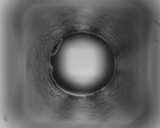 X0000100881345200806201236