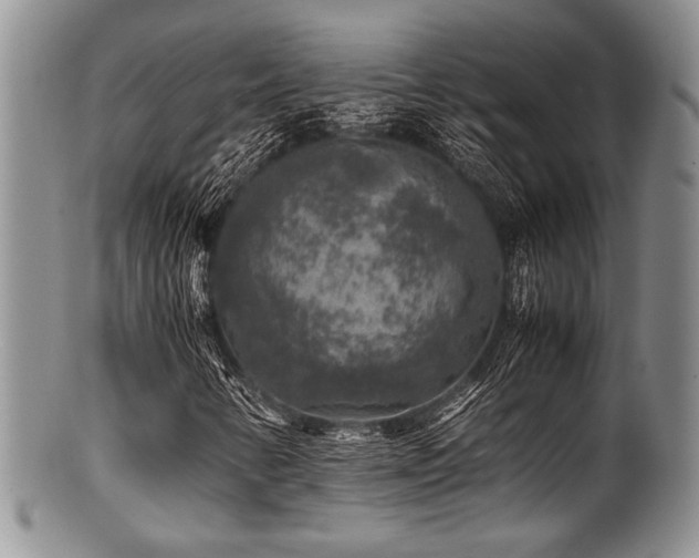 X0000100881346200806201236