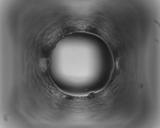 X0000100881347200806201236
