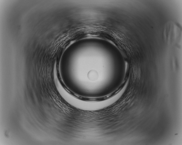 X0000100881348200806201236