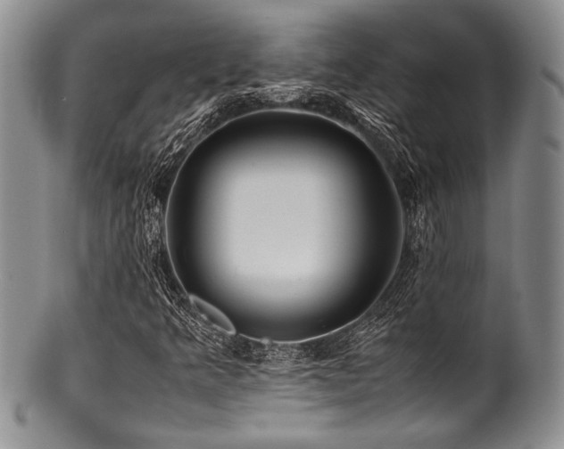 X0000100881349200806201236