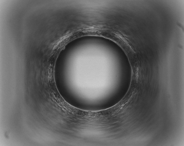 X0000100881350200806201236
