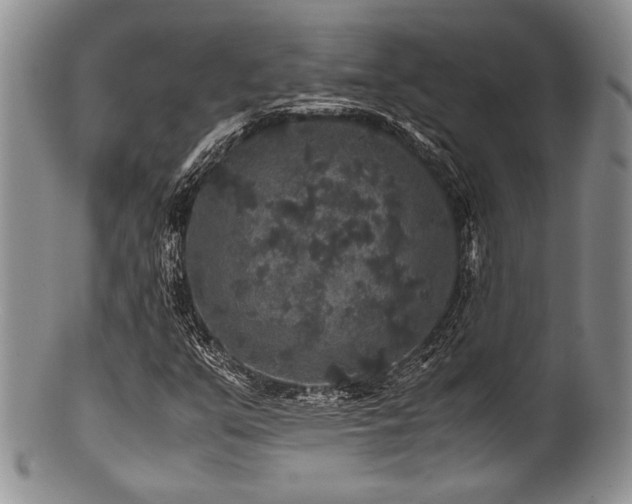 X0000100881351200806201236