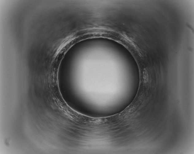 X0000100881352200806201236