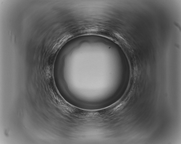 X0000100881353200806201236