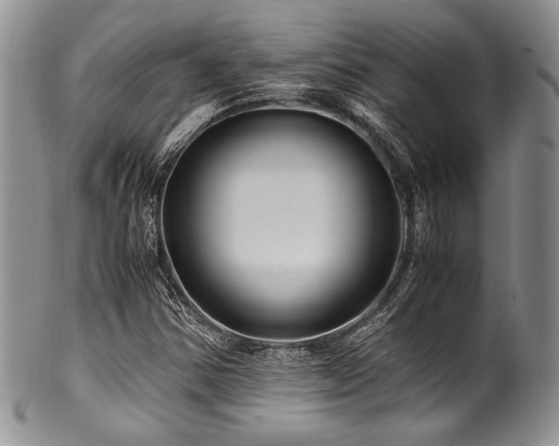 X0000100881354200806201236
