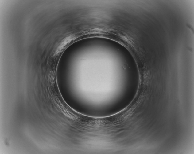 X0000100881355200806201236