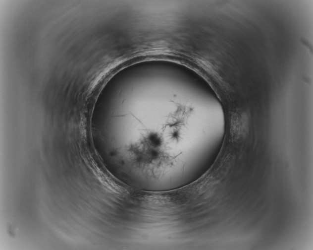 X0000100881356200806201236