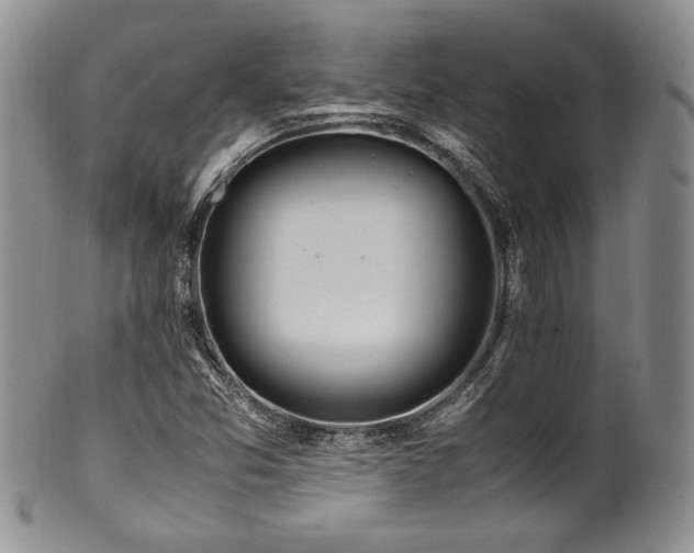 X0000100881357200806201236