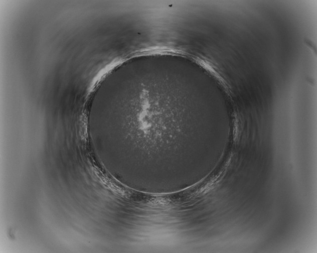 X0000100881358200806201236