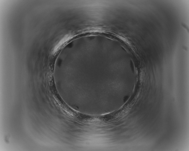 X0000100881359200806201236