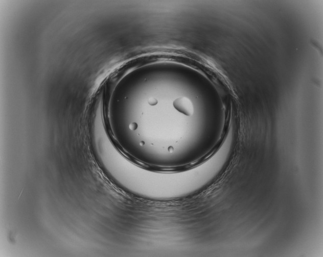 X0000100881360200806201236