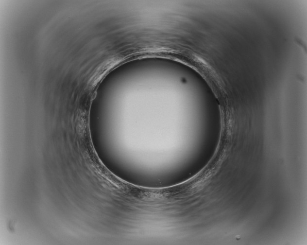 X0000100881361200806201236