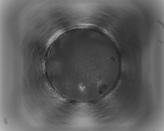 X0000100881362200806201236