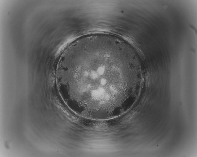 X0000100881363200806201236