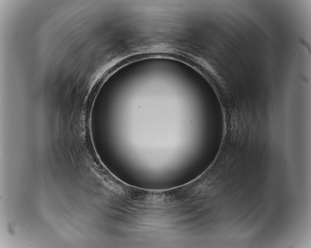 X0000100881364200806201236