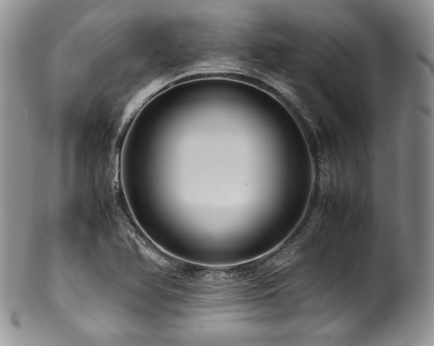 X0000100881366200806201236