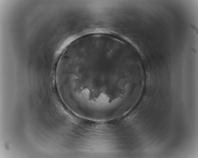 X0000100881367200806201236