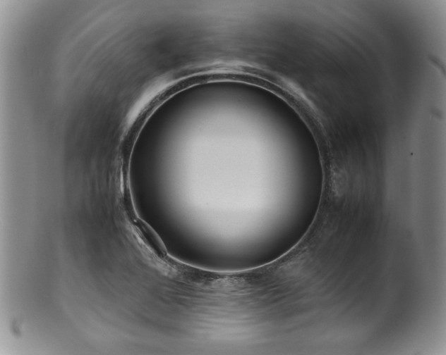 X0000100881368200806201236
