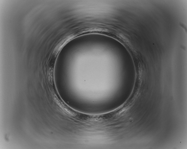 X0000100881369200806201236