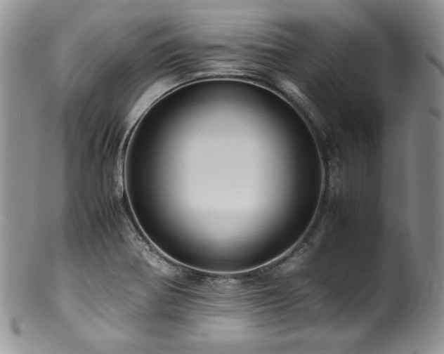 X0000100881370200806201236