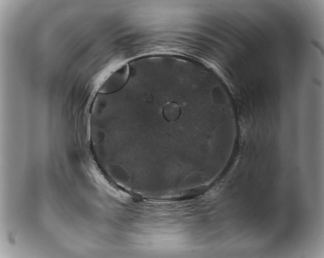 X0000100881371200806201236