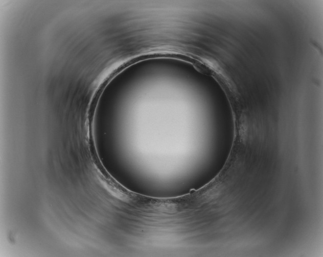 X0000100881372200806201236