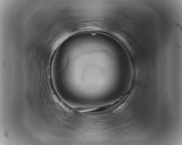 X0000100881373200806201236