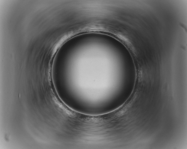 X0000100881374200806201236