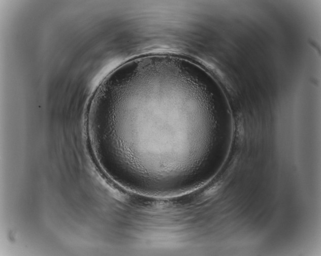 X0000100881375200806201236