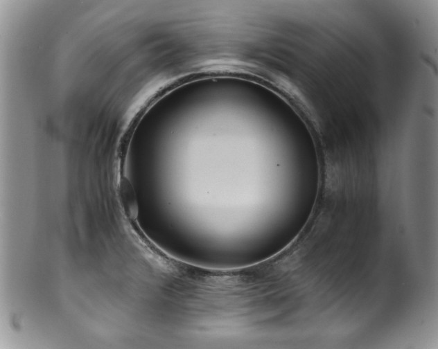 X0000100881376200806201236