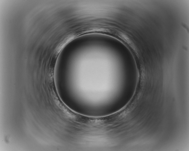 X0000100881377200806201236