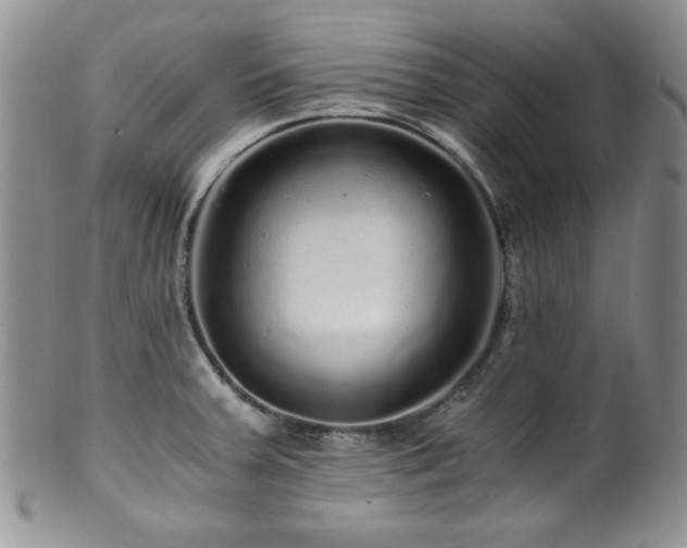 X0000100881379200806201236