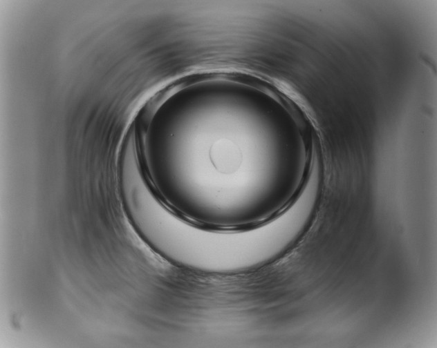 X0000100881380200806201236