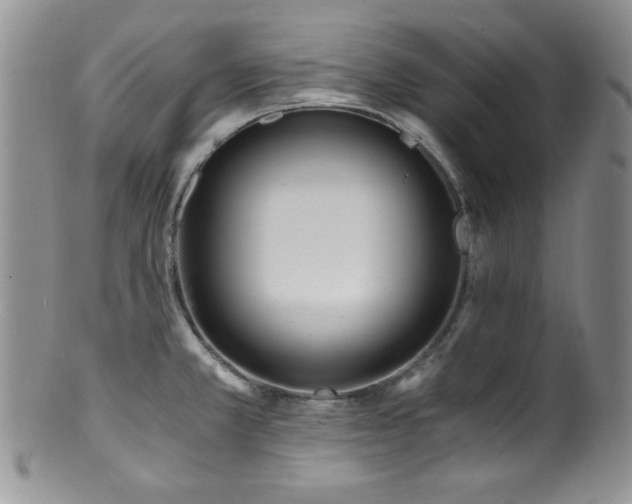 X0000100881381200806201236