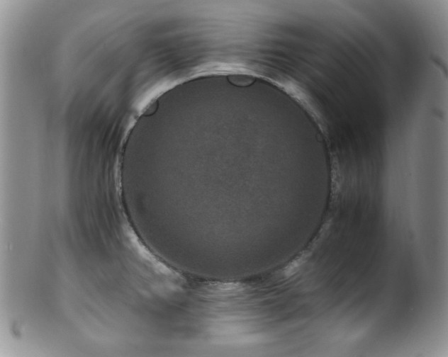 X0000100881382200806201236
