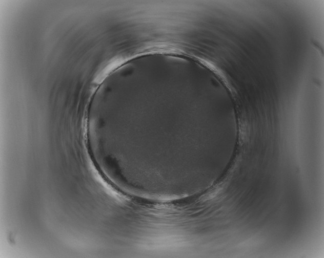 X0000100881383200806201236