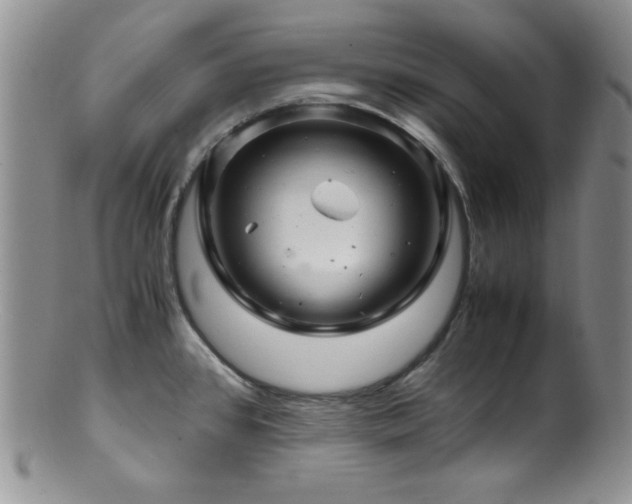 X0000100881384200806201236