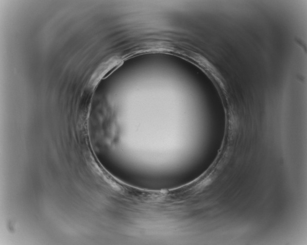 X0000100881385200806201236