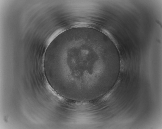 X0000100881386200806201236