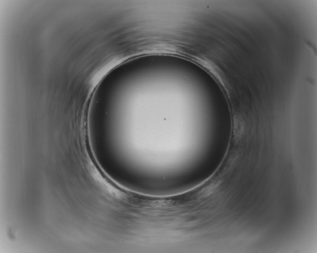 X0000100881387200806201236