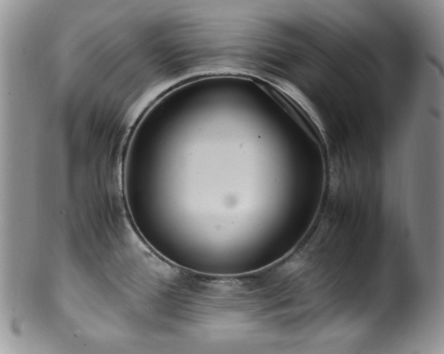 X0000100881388200806201236