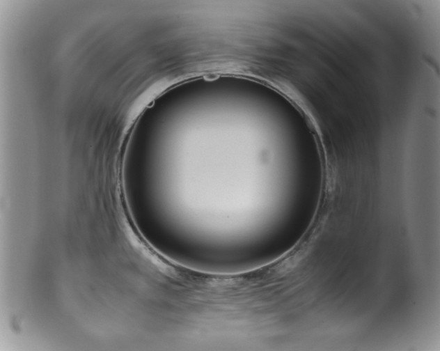 X0000100881389200806201236